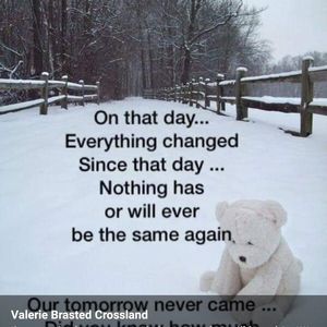 Meet your Posher, Arsenia